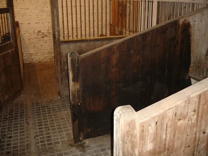 The Clochfaen Stables The Clochfaen Stables