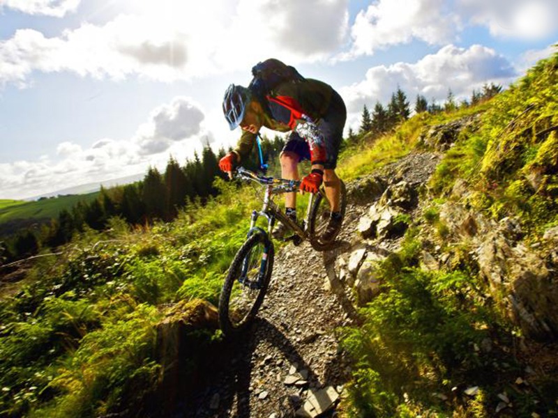 Mountain Biking